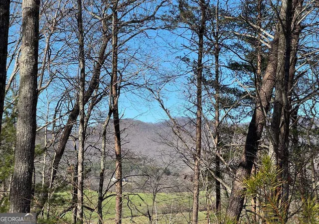 2nd image of 74 Timber Ln, Blairsville, GA 30512 | MLS# 10735301
