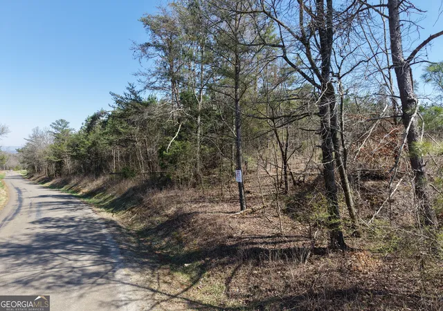 4th image of 0 Young Loop #7206 PARCEL A, Fairmount, GA 30139 | MLS# 10626406