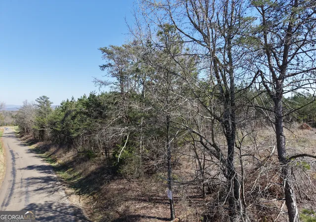 5th image of 0 Young Loop #7206 PARCEL A, Fairmount, GA 30139 | MLS# 10626406