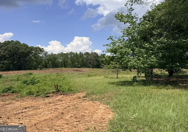 Homes for sale in Gay, GA | 2135 Moss Rd, Gay, GA 30218 | MLS# 10801694