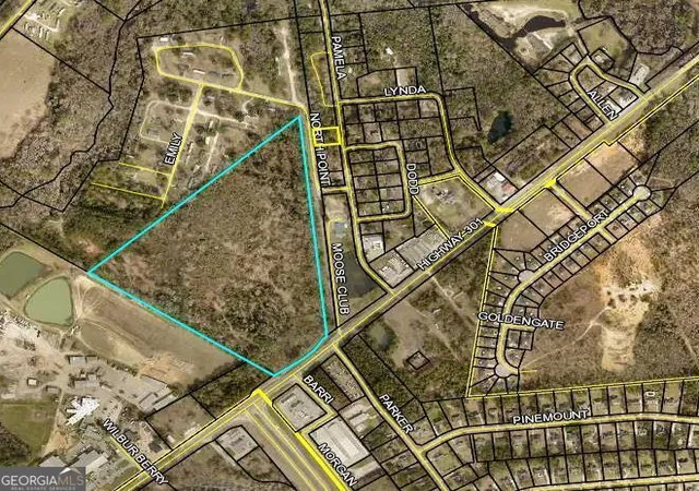 Photo 1 of Land for sale at 0 Hwy 301 N, Statesboro, GA 30461 | MLS# 10439137 | Listing updated on 2026-06-09