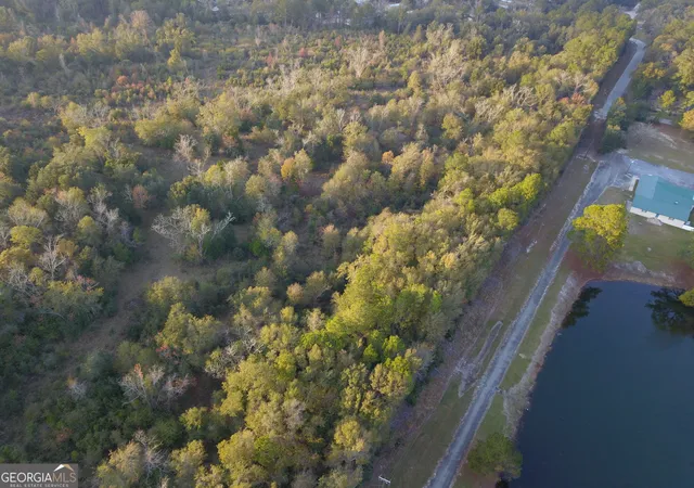 Photo 3 of Land for sale at 0 Hwy 301 N, Statesboro, GA 30461 | MLS# 10439137 | Listing updated on 2026-06-09