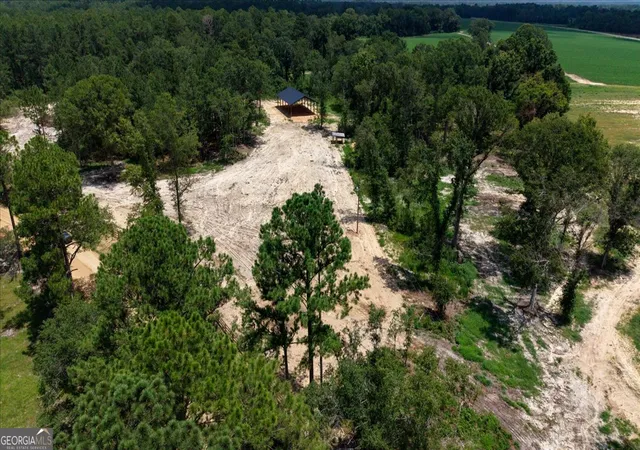 Photo 3 of Land for sale at 2218 Pittman Rd, Cobbtown, GA 30420 | MLS# 10809256 | Listing updated on 2026-08-04