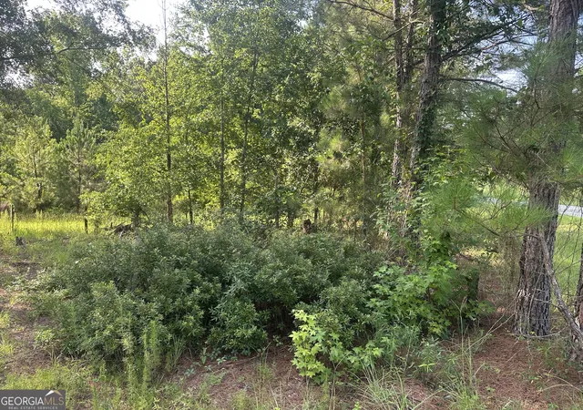 Homes for sale in Sardis, GA | 900 Habersham Church Rd, Sardis, GA 30456 | MLS# 10799476