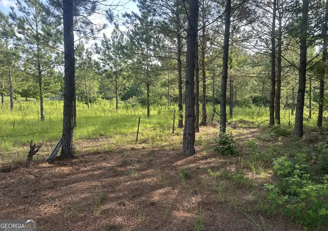 Homes for sale in Sardis, GA | 900 Habersham Church Rd, Sardis, GA 30456 | MLS# 10799476