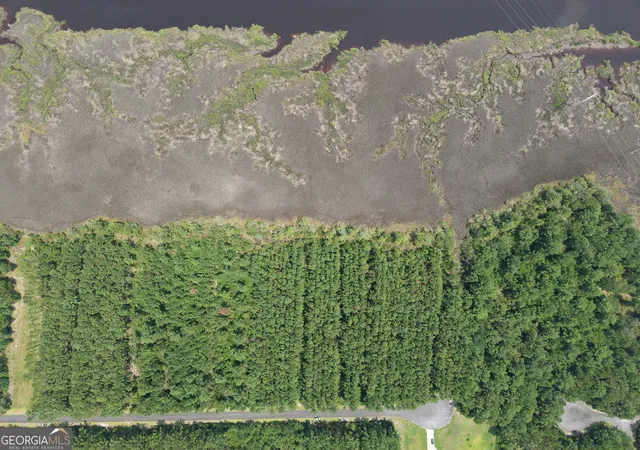 10th image of Lot 35 James Ln, White Oak, GA 31568 | MLS# 10818934