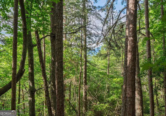 3rd image of 0 York Cemetery Rd, Sautee Nacoochee, GA 30571 | MLS# 10793050