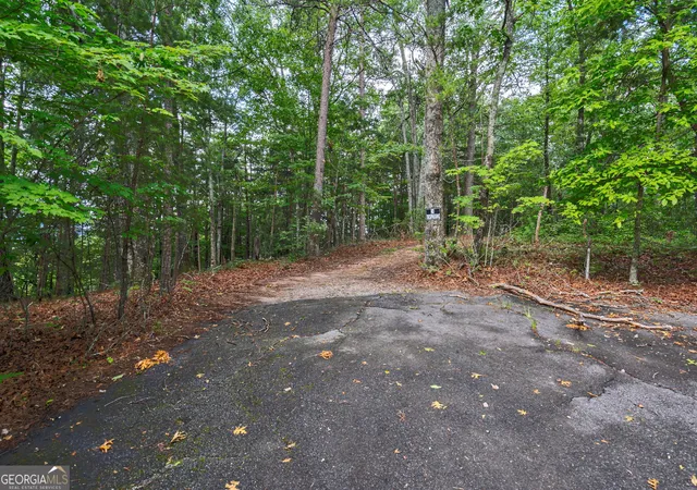 4th image of 0 York Cemetery Rd, Sautee Nacoochee, GA 30571 | MLS# 10793050