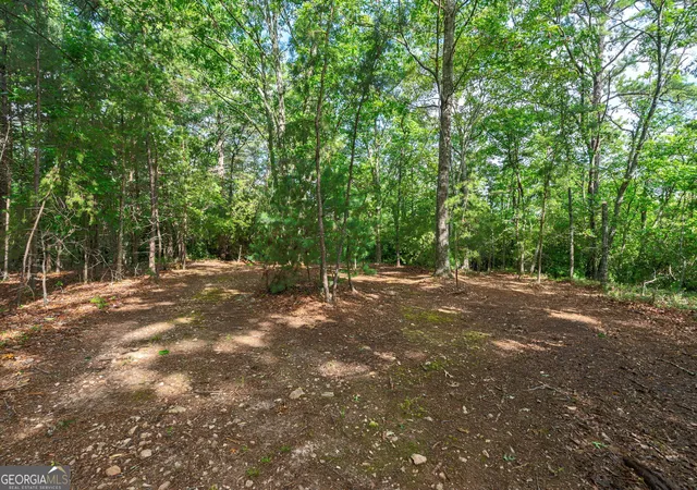 5th image of 0 York Cemetery Rd, Sautee Nacoochee, GA 30571 | MLS# 10793050