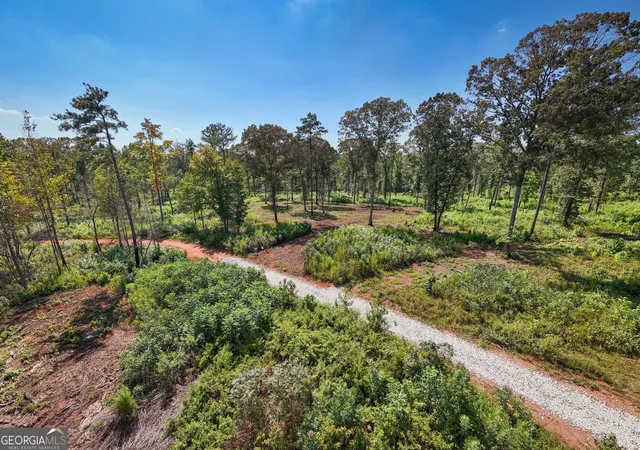 Photo 2 of Land for sale at 0 Hwy 100 #12 TUCKER WAY, Franklin, GA 30217 | MLS# 10834828 | Listing updated on 2026-09-11