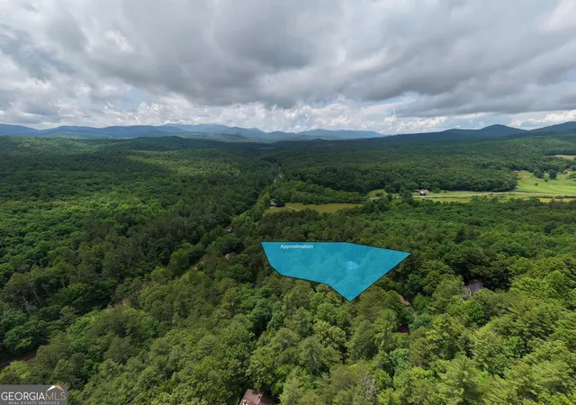 55th image of 61 Amelia Ln, Blue Ridge, GA 30513 | MLS# 10773012