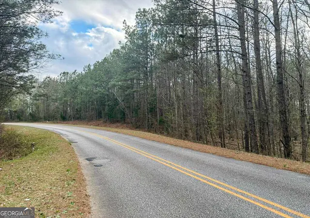 2nd image of 0 Shallow Creek Rd, Elberton, GA 30635 | MLS# 10817474