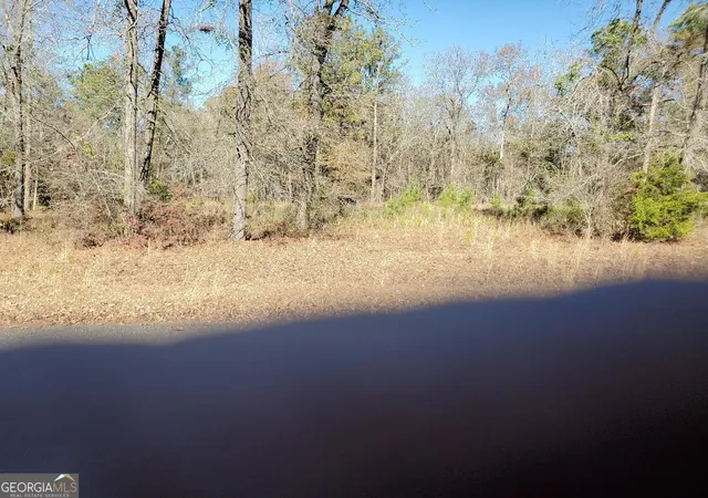 Photo 3 of Land for sale at 0 Tyler Ct, Fort Valley, GA 31030 | MLS# 10661012 | Listing updated on 2026-06-11