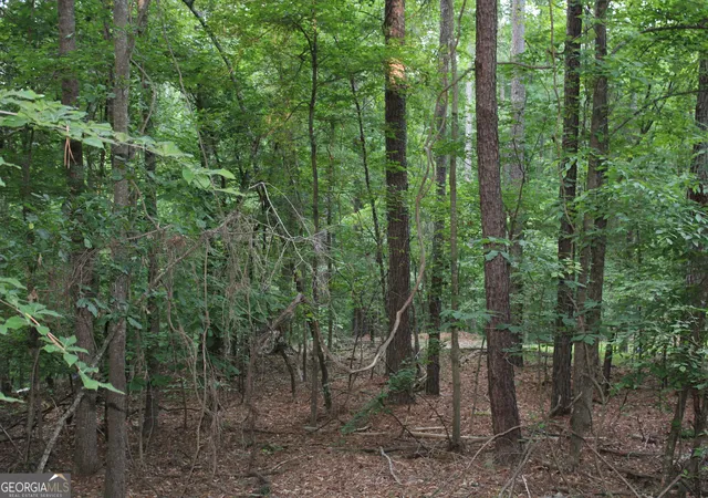 1st image of 3 Mount Moriah Rd, Auburn, GA 30011 | MLS# 10768841