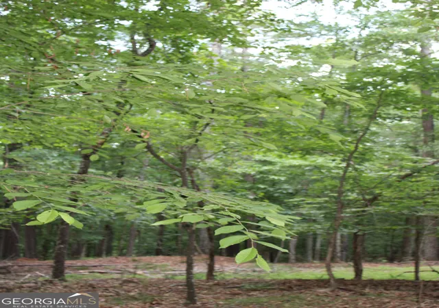 2nd image of 3 Mount Moriah Rd, Auburn, GA 30011 | MLS# 10768841