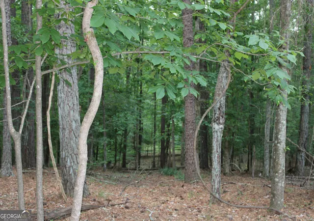 4th image of 3 Mount Moriah Rd, Auburn, GA 30011 | MLS# 10768841