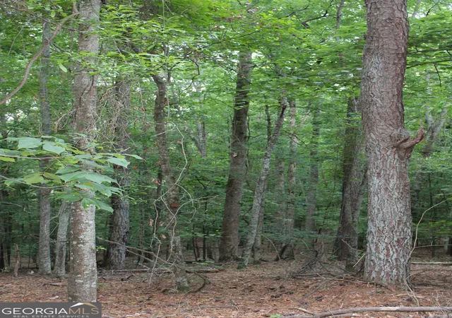 5th image of 3 Mount Moriah Rd, Auburn, GA 30011 | MLS# 10768841