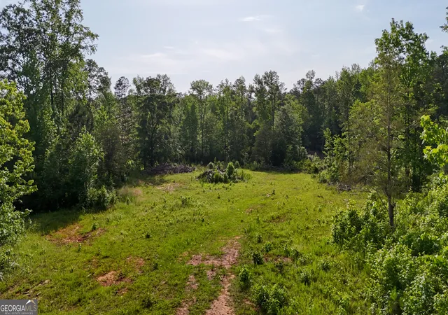 3rd image of 0 White Road, Thomaston, GA 30286 | MLS# 10535939