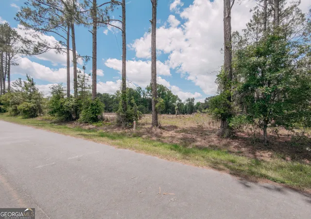 Homes for sale in Claxton, GA | 0 Issac Rd, Claxton, GA 30417 | MLS# 10786597