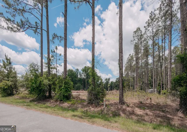 Photo 3 of Sale Pending at 0 Issac Rd, Claxton, GA 30417 | MLS# 10786597 | Listing updated on 2026-09-28