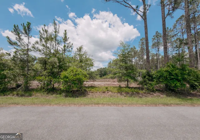 Photo 3 of Sale Pending at 0 Issac Rd, Claxton, GA 30417 | MLS# 10786597 | Listing updated on 2026-09-28