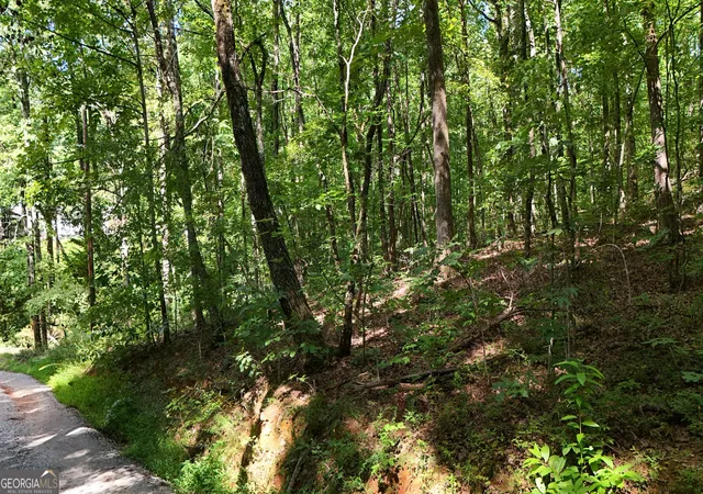 4th image of Lot 182 Hillside Dr, Clarkesville, GA 30523 | MLS# 10830112