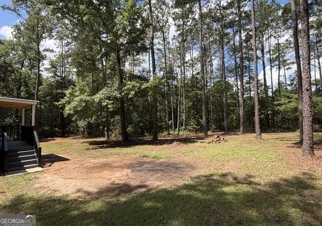 23rd image of 335 Harvey Cir # 10, Ellaville, GA 31806 | MLS# 10818378