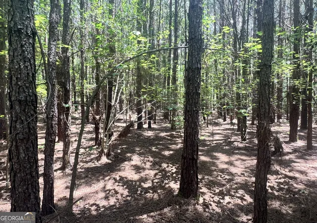 Photo 3 of Land for sale at 0 Seabolt Dr, Locust Grove, GA 30248 | MLS# 10810496 | Listing updated on 2026-09-05