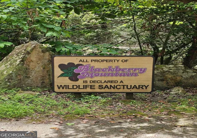 Photo 10 of Land for sale at 0 Blackberry Mountain Rd, Ellijay, GA 30536 | MLS# 10809280 | Listing updated on 2026-08-03