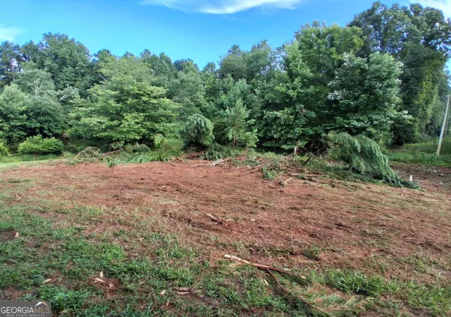 Photo 2 of Land for sale at 0 Blackberry Mountain Rd, Ellijay, GA 30536 | MLS# 10809280 | Listing updated on 2026-08-03