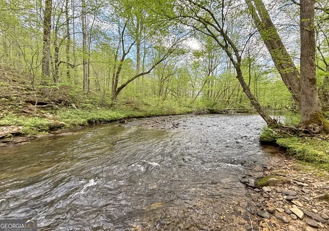 1st image of Lt 5 Spiva Cove Rd, Blairsville, GA 30512 | MLS# 10811079