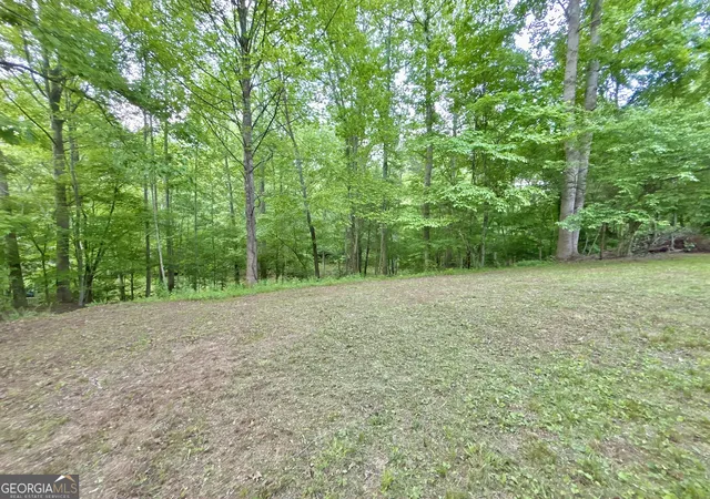 3rd image of Lt 5 Spiva Cove Rd, Blairsville, GA 30512 | MLS# 10811079