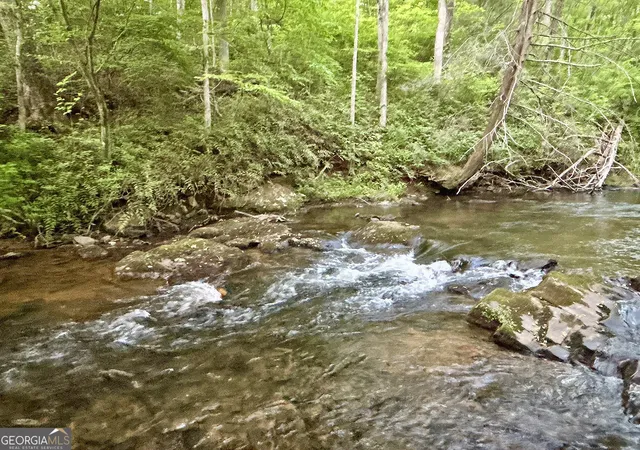 45th image of Lt 5 Spiva Cove Rd, Blairsville, GA 30512 | MLS# 10811079