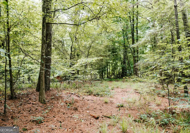 Homes for sale in Stephens, GA | 0 Stephens Salem Rd, Stephens, GA 30667 | MLS# 10777838