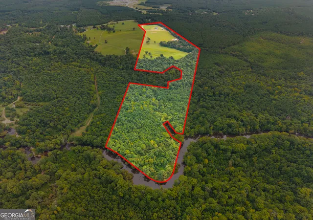 4th image of 3964 Hwy 17 S, Millen, GA 30442 | MLS# 10835150