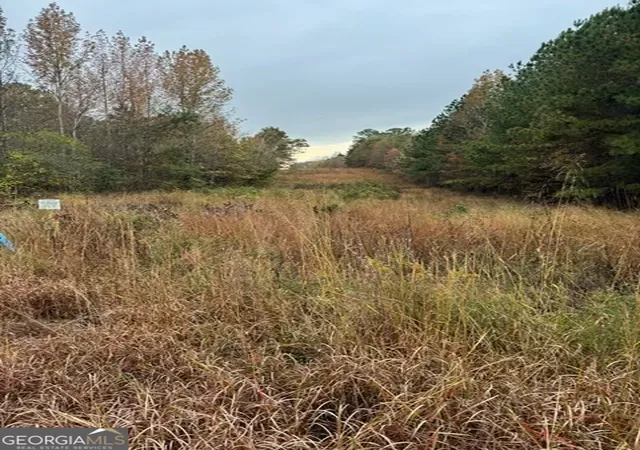 Photo 1 of Land for sale at 0 Moran Lake Ro Moran Lake Rd, Rome, GA 30161 | MLS# 10771039 | Listing updated on 2026-06-07