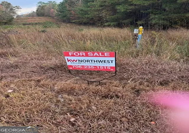 Photo 2 of Land for sale at 0 Moran Lake Ro Moran Lake Rd, Rome, GA 30161 | MLS# 10771039 | Listing updated on 2026-06-07