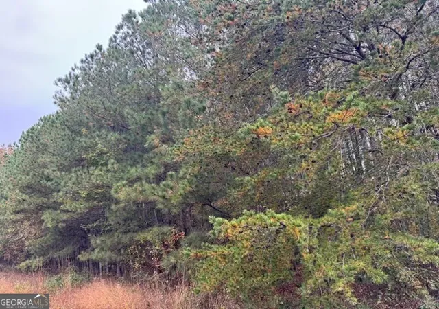 Photo 3 of Land for sale at 0 Moran Lake Ro Moran Lake Rd, Rome, GA 30161 | MLS# 10771039 | Listing updated on 2026-06-07