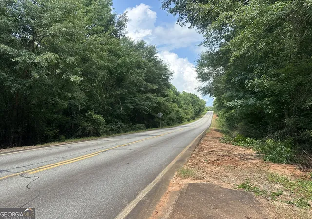 21st image of 699 Ga Hwy 96, Irwinton, GA 31042 | MLS# 10794925