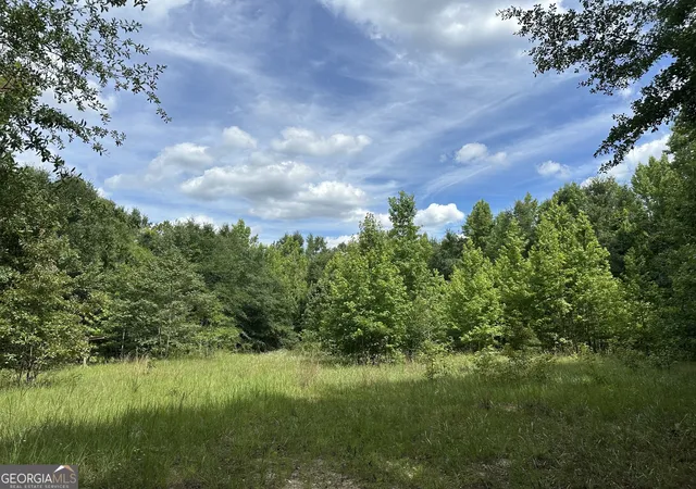 2nd image of 699 Ga Hwy 96, Irwinton, GA 31042 | MLS# 10794925