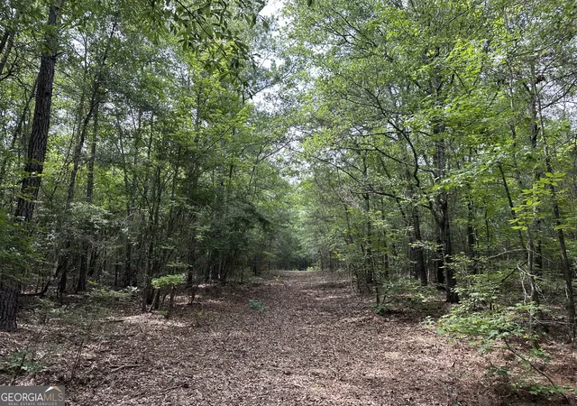 Photo 4 of House for sale at 699 Ga Hwy 96, Irwinton, GA 31042 | MLS# 10794925 | Listing updated on 2026-07-27