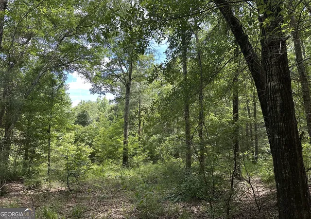 Homes for sale in Irwinton, GA | 699 Ga Hwy 96, Irwinton, GA 31042 | MLS# 10794925