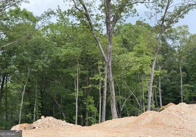 Homes for sale in Molena, GA | 2180 Dunn Rd Rd, Molena, GA 30258 | MLS# 10804819