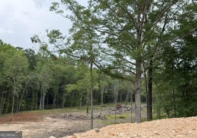 Homes for sale in Molena, GA | 2180 Dunn Rd Rd, Molena, GA 30258 | MLS# 10804819