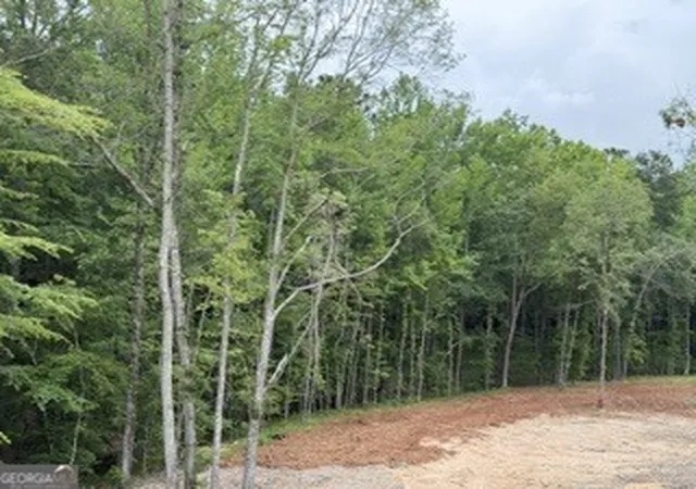 Homes for sale in Molena, GA | 2180 Dunn Rd Rd, Molena, GA 30258 | MLS# 10804819