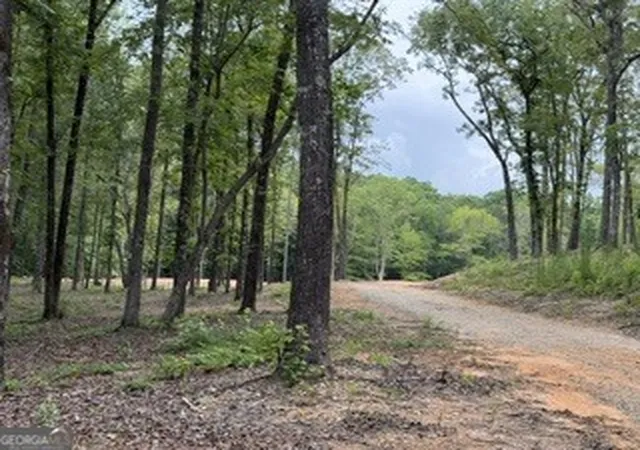 Photo 3 of Land for sale at 2180 Dunn Rd Rd, Molena, GA 30258 | MLS# 10804819 | Listing updated on 2026-09-11