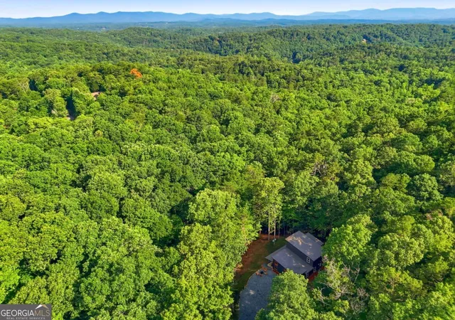 Homes for sale in Ellijay, GA | 202 Jonquil Ln #600, Ellijay, GA 30540 | MLS# 10798870