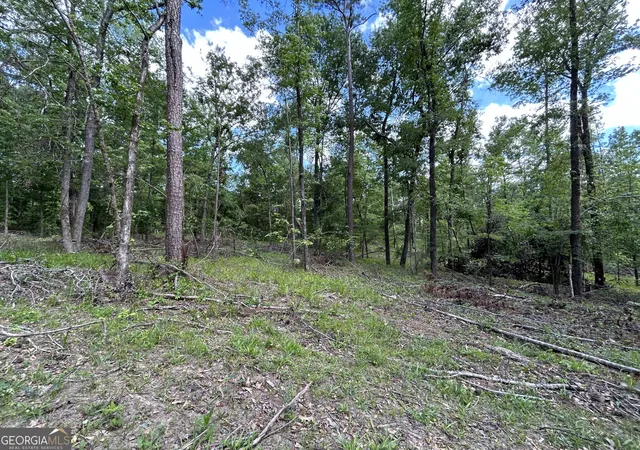 5th image of 2700 N Columbia St, Milledgeville, GA 31061 | MLS# 10624811
