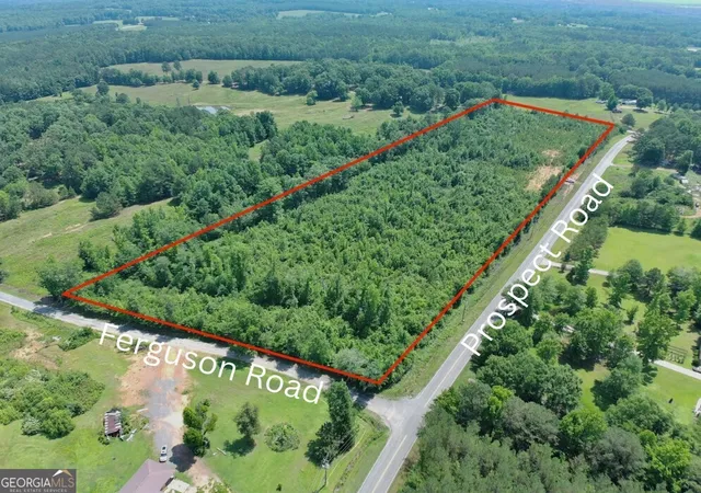 Homes for sale in Nauvoo, AL | 0 Prospect Road, Nauvoo, AL 35578 | MLS# 10776306