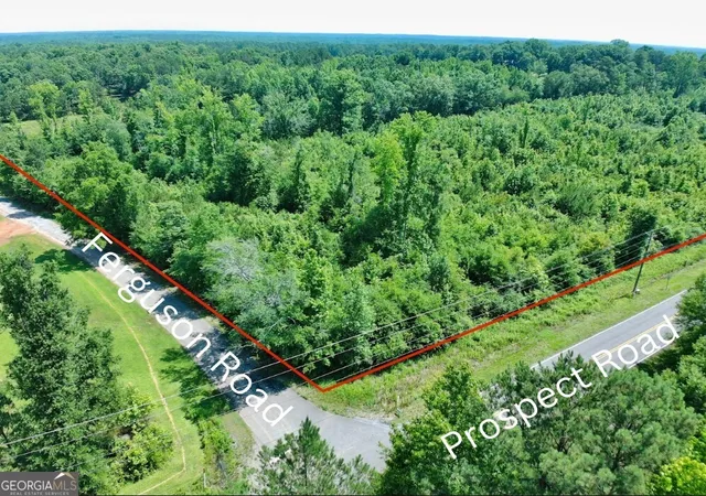 Homes for sale in Nauvoo, AL | 0 Prospect Road, Nauvoo, AL 35578 | MLS# 10776306